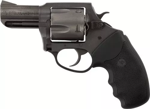 Charter Arms Pit Bull 45ACP