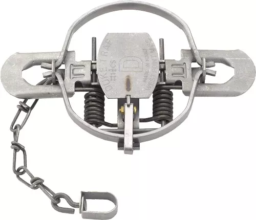Duke Traps #1 3/4 Coil Spring