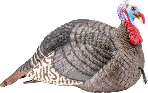 HS Strut Turkey Decoy Jake