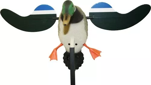 MOJO Baby MOJO Drake Decoy!