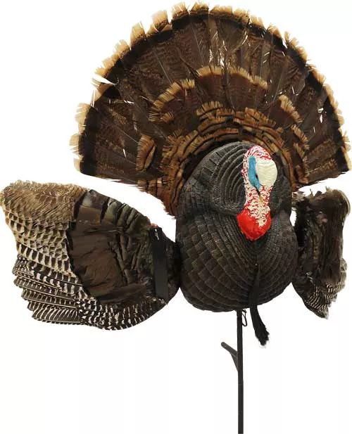 MOJO Scoot N Shoot Max Turkey