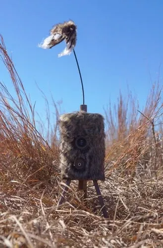MOJO Super Critter W/Critter