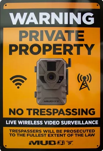 Muddy Live Wireless Video
