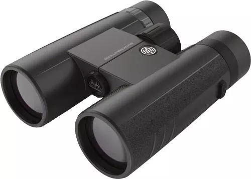 SIG Binocular 10X42